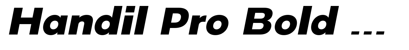 Handil Pro Bold Italic